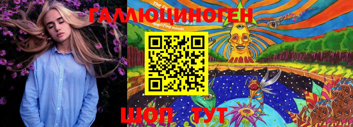 Кольчугино  Псилоцибиновые грибы Magic Shrooms  Вход с VPN 