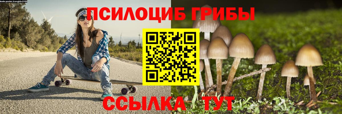 Псилоцибиновые грибы Psilocybine cubensis Кольчугино