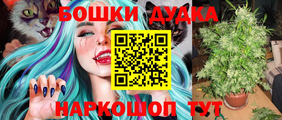 ГАШ Кольчугино